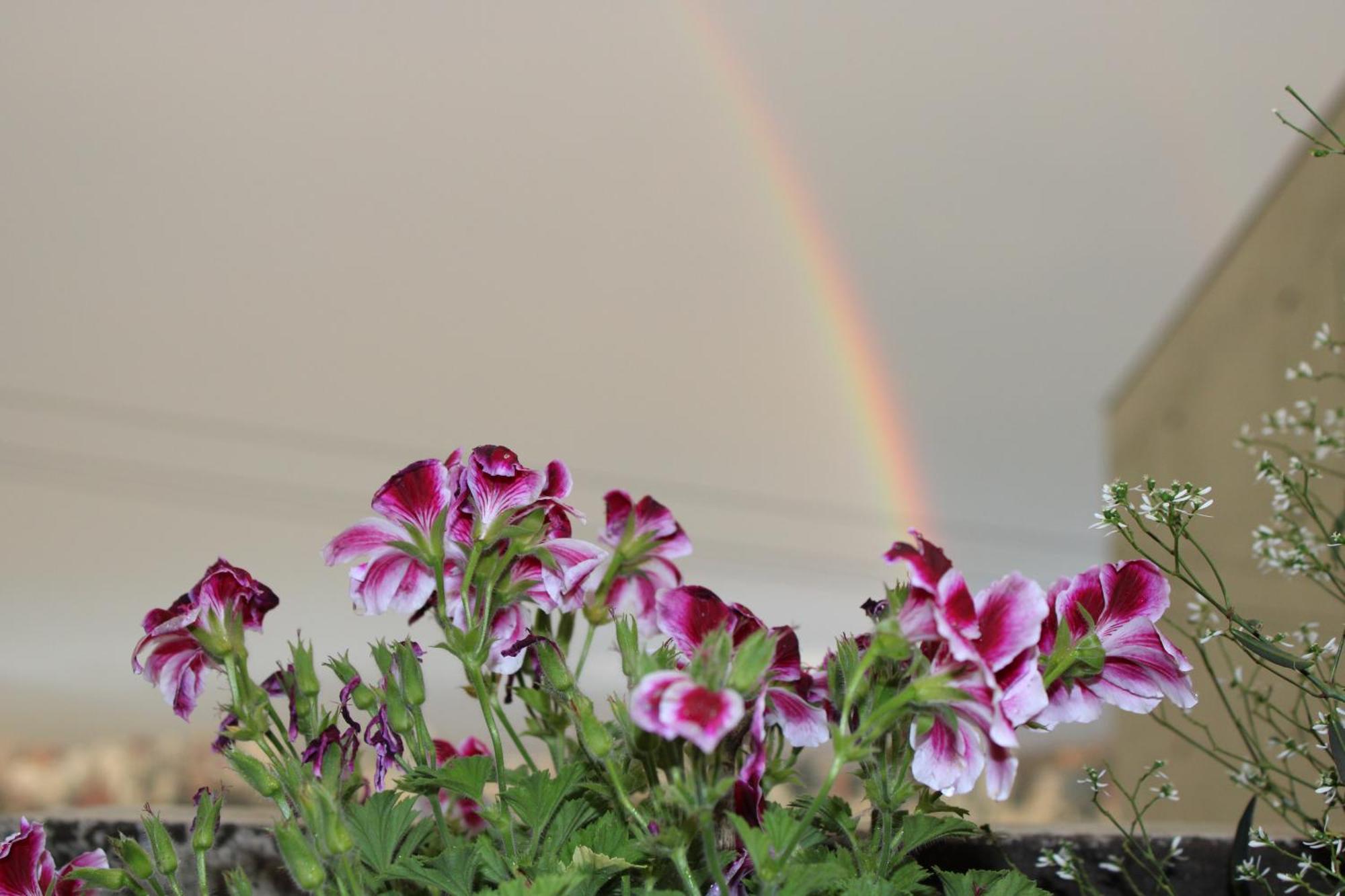 Casa De Tulia Apartment กีโต ภายนอก รูปภาพ